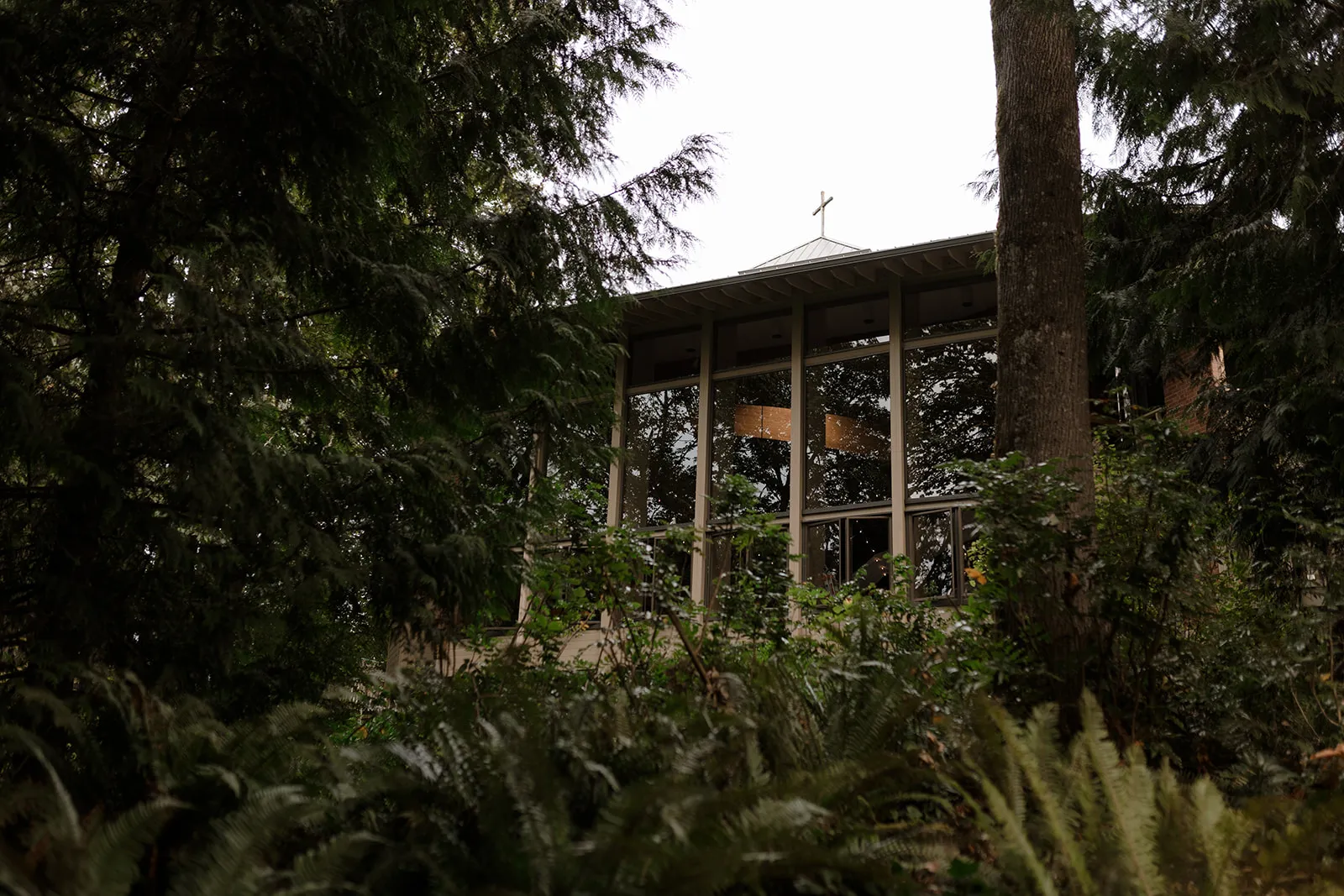 Caelin & Evan wedding photo 11